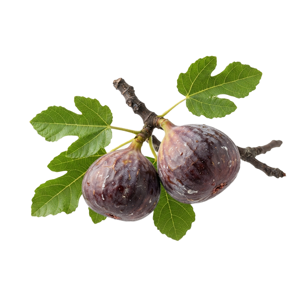 National Fig Week